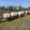 Сівалка Massey Ferguson MF555