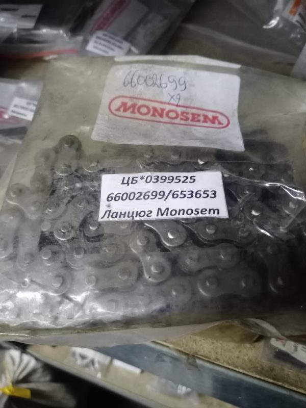 66002699/653653 Ланцюг Monosem