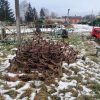 6,7. Зчіпка СГ-21 с.н.111 ЗП10000064 +Борона зубчата БЗТС-1 к-т 21 шт ЗП10000056 1 Зчіпка гідрофікована СГ-21 с.н.111