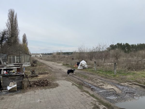 Продаж нежитлових приміщень (ферма) 10589,9м², 9,7592га, Черкаська обл