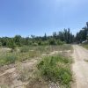 Продаж нежитлових приміщень (ферма) 10589,9м², 9,7592га, Черкаська обл