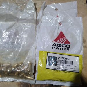 W923099-4 Заклепка 43556х43682 DIN660 (70910520) AGCO