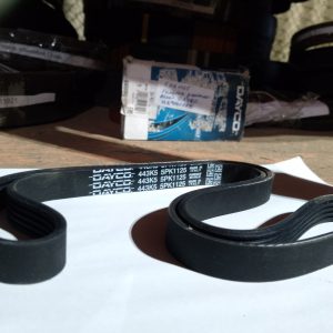 5PK1125 Ремінь дорiжковий DAYCO