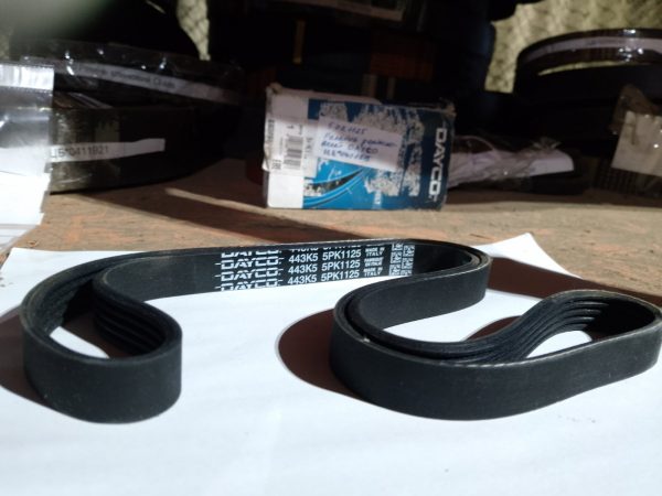 5PK1125 Ремінь дорiжковий DAYCO