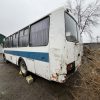 IMG_6287 Автобус ПАЗ-4234