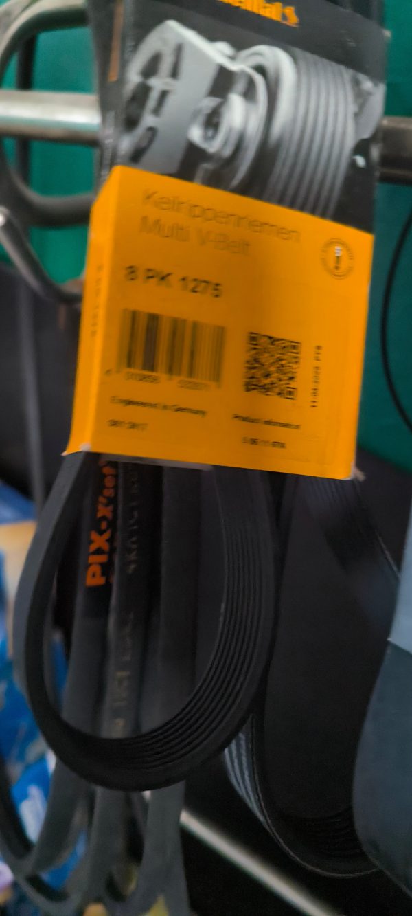 8PK1275 Пас доріжковий Continental