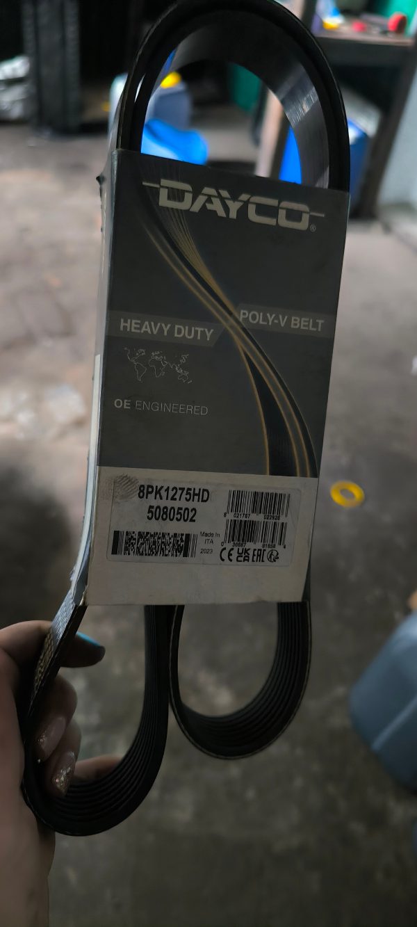 8PK1275HD Пас доріжковий DAYCO